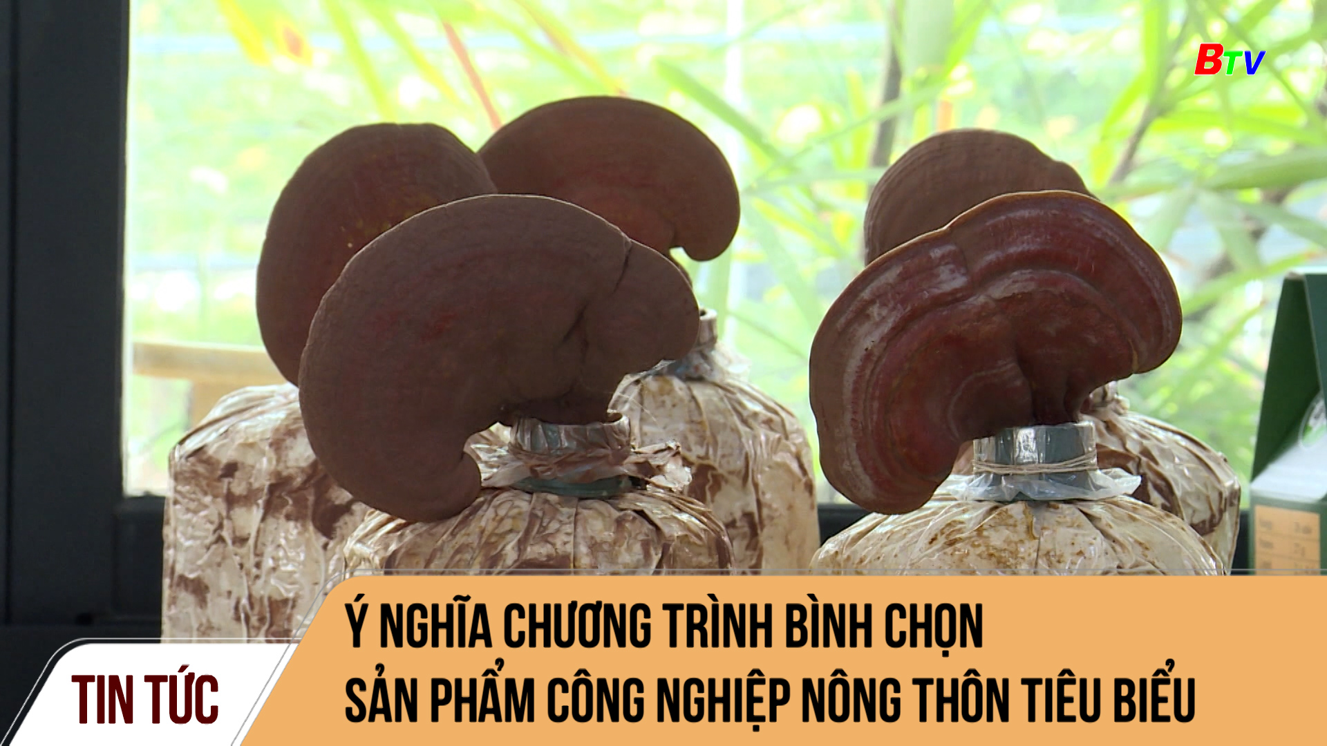 Ý nghĩa chương trình bình chọn sản phẩm công nghiệp nông thôn tiêu biểu